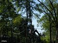 04 - Afrika - Paradies fuer die Orang Utans
